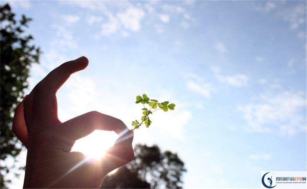 2026年自貢市富順第一中學(xué)校招生條件是什么？